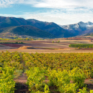La Rioja Premium Getaway