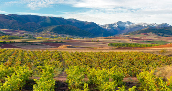 La Rioja Premium Getaway