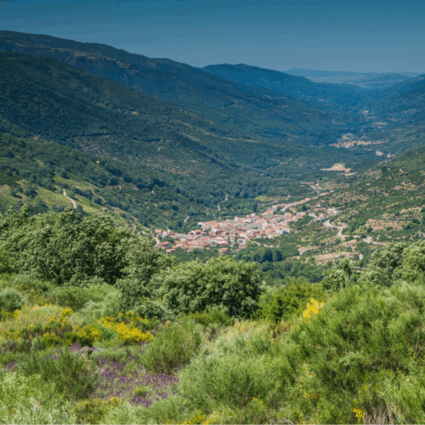 Circuito Plasencia - Imagen 3