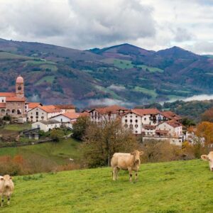 La Rioja and Navarra Premium Tour
