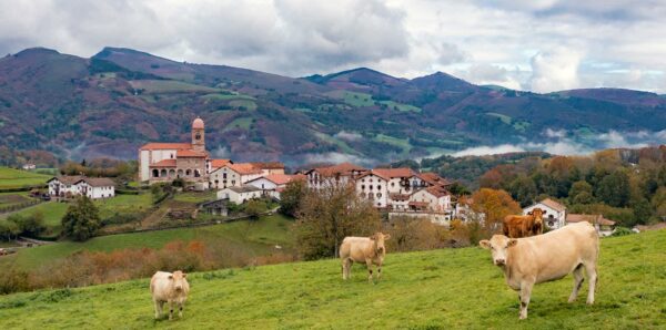 La Rioja and Navarra Premium Tour
